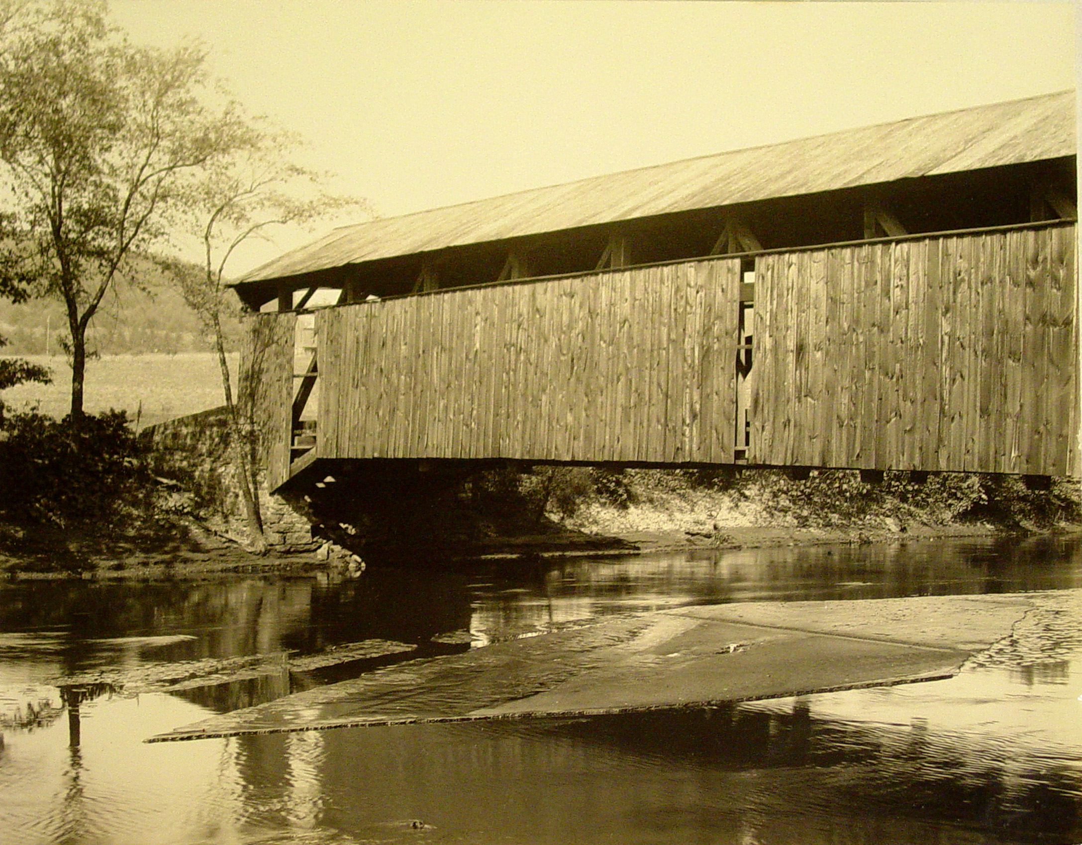 Bridge over Shamrock Creek