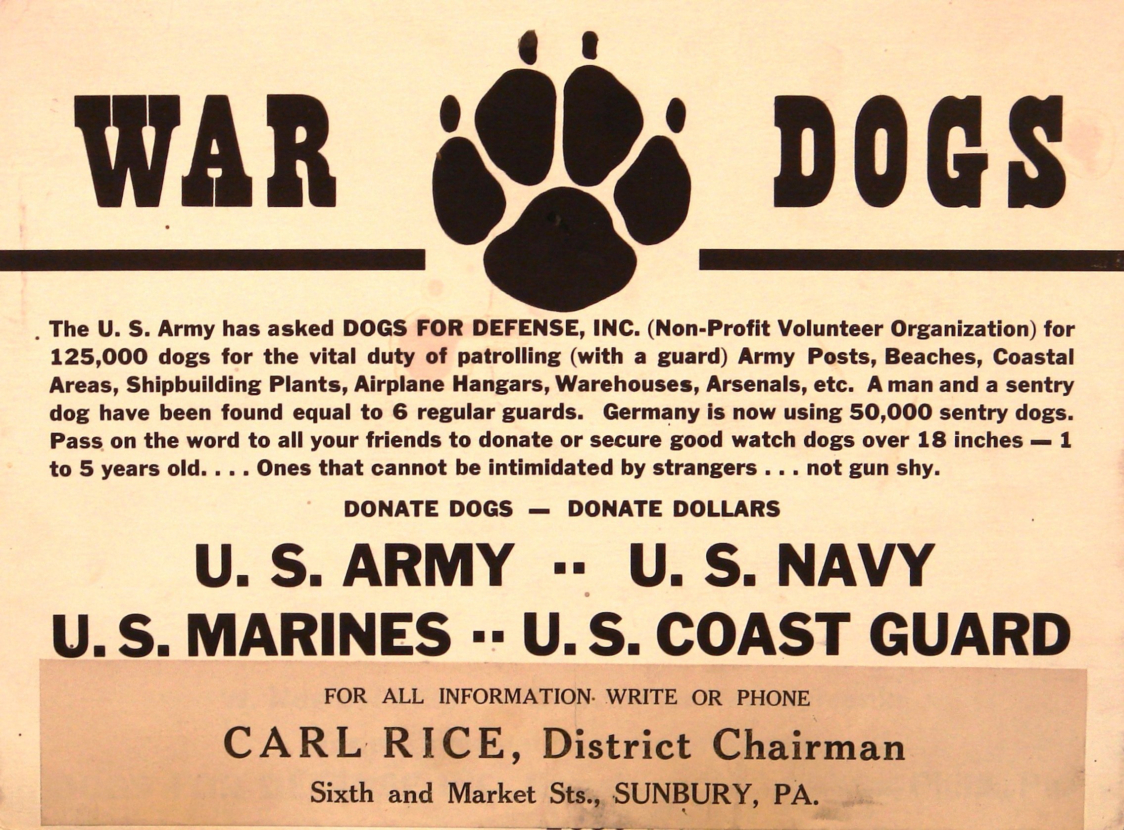 War Dogs
