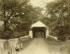 Cabin Run Covered Bridge 268