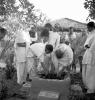 Gandhi and residents planting holy basil (tulsi)