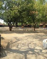 Citation block thumbnail