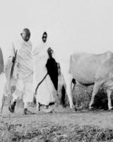 Citation block thumbnail