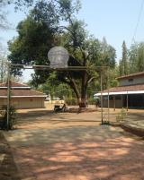 Citation block thumbnail