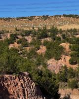 Citation block thumbnail