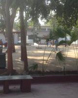 Citation block thumbnail