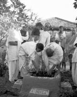 Citation block thumbnail