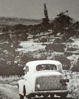 Citation block thumbnail