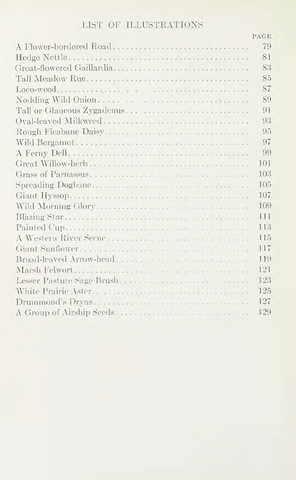 Page 14 of Wild flowers of Western Canada