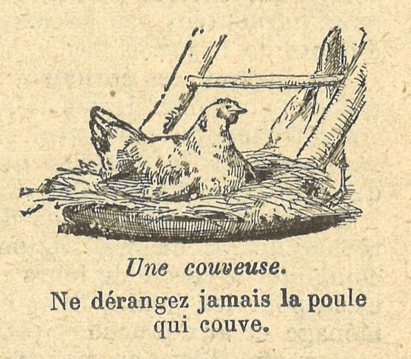 Chapitre 22, page 79, Une couveuse