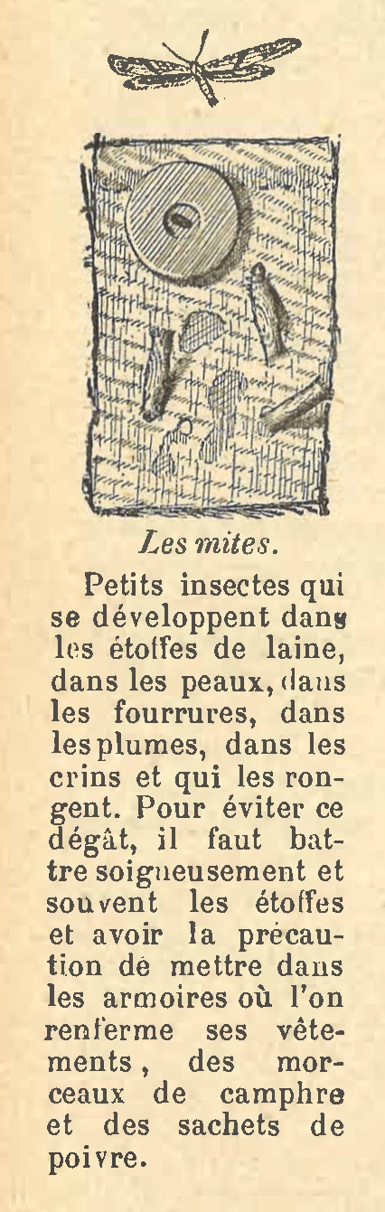 Chapitre 44, page 154, Les mites