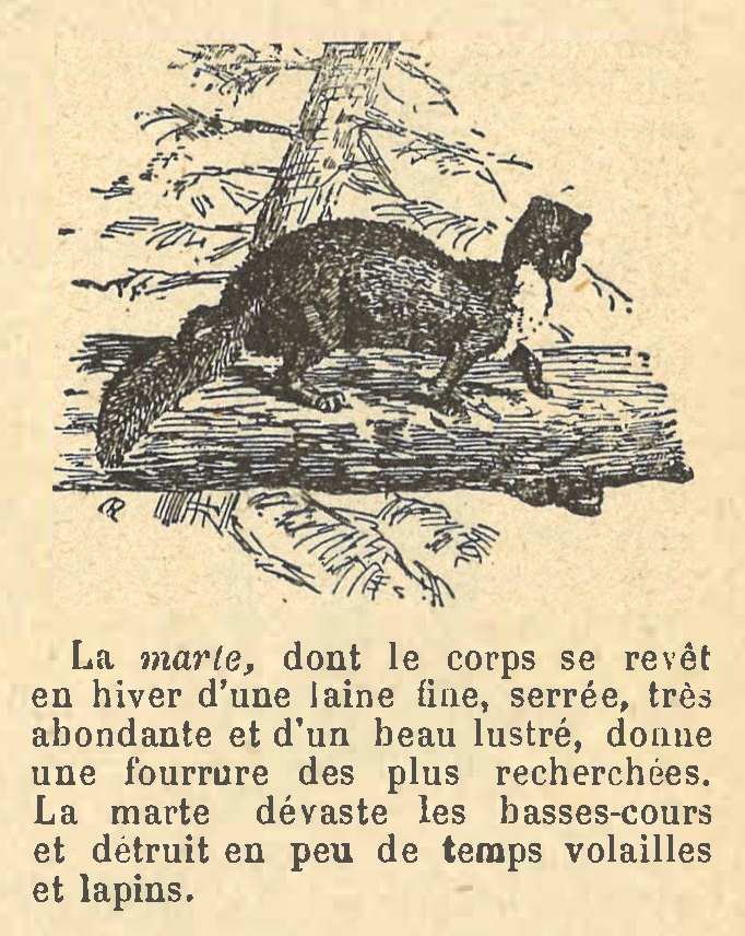 Chapitre 56, page 196-2