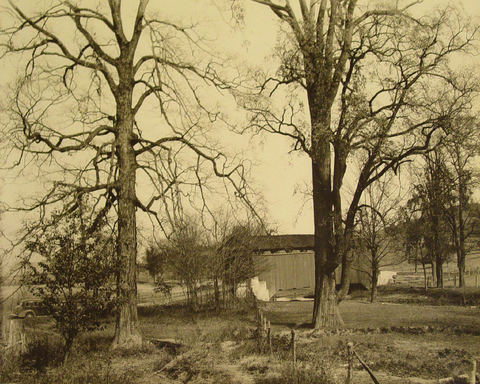 Bridge at Swartz Farm