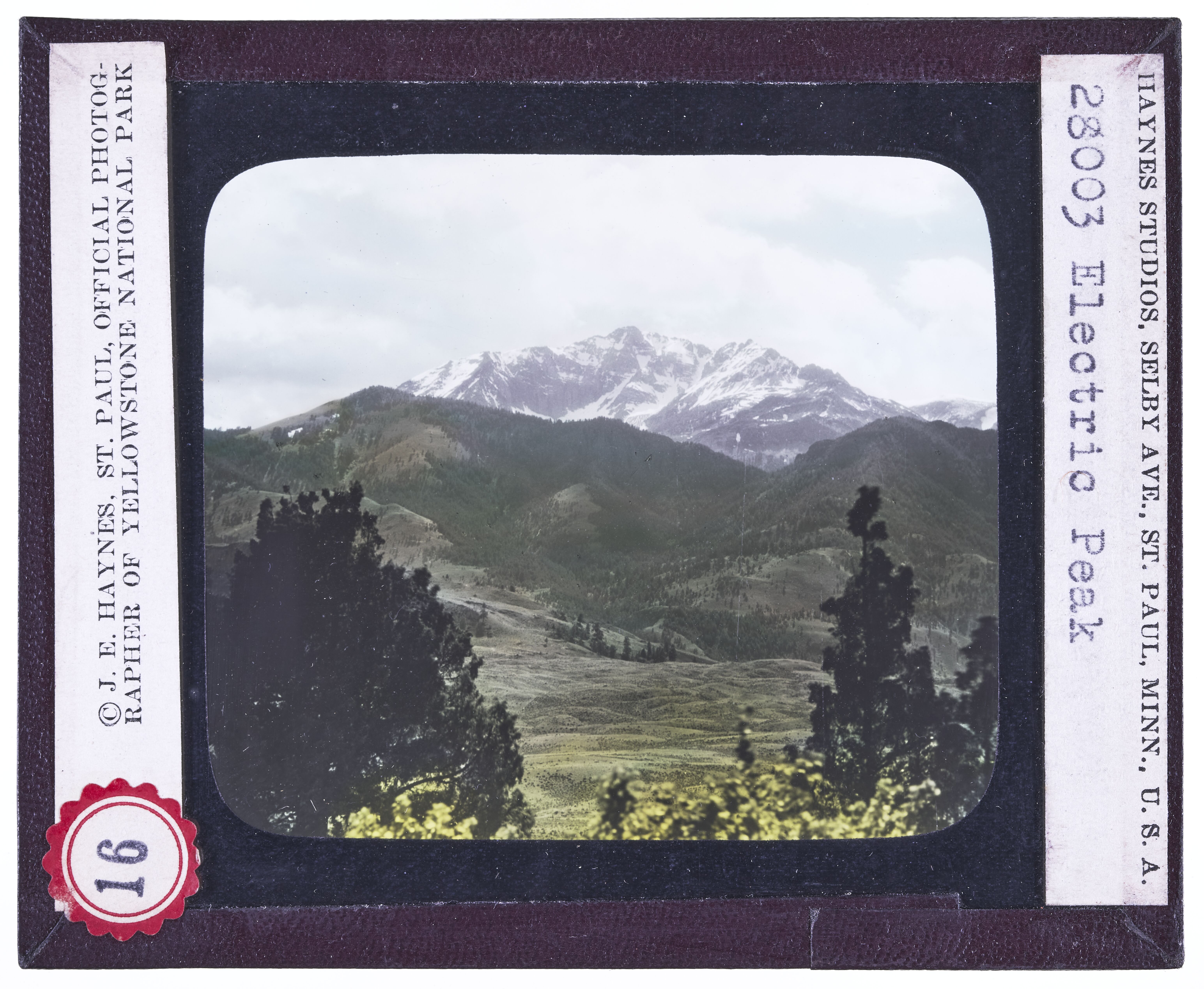 Electric Peak -- 11,155 Ft