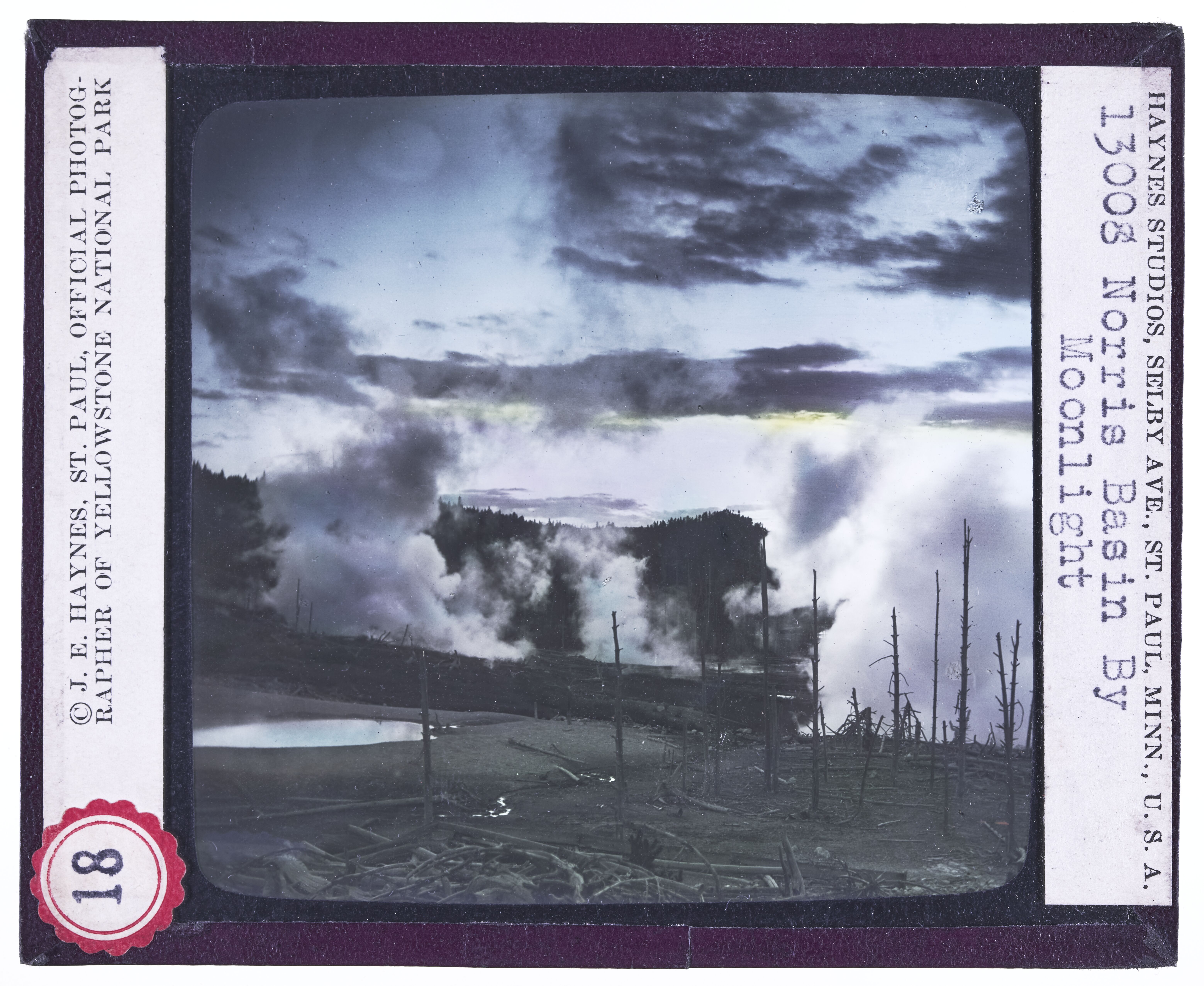 Norris Geyser Basin by Moonlight