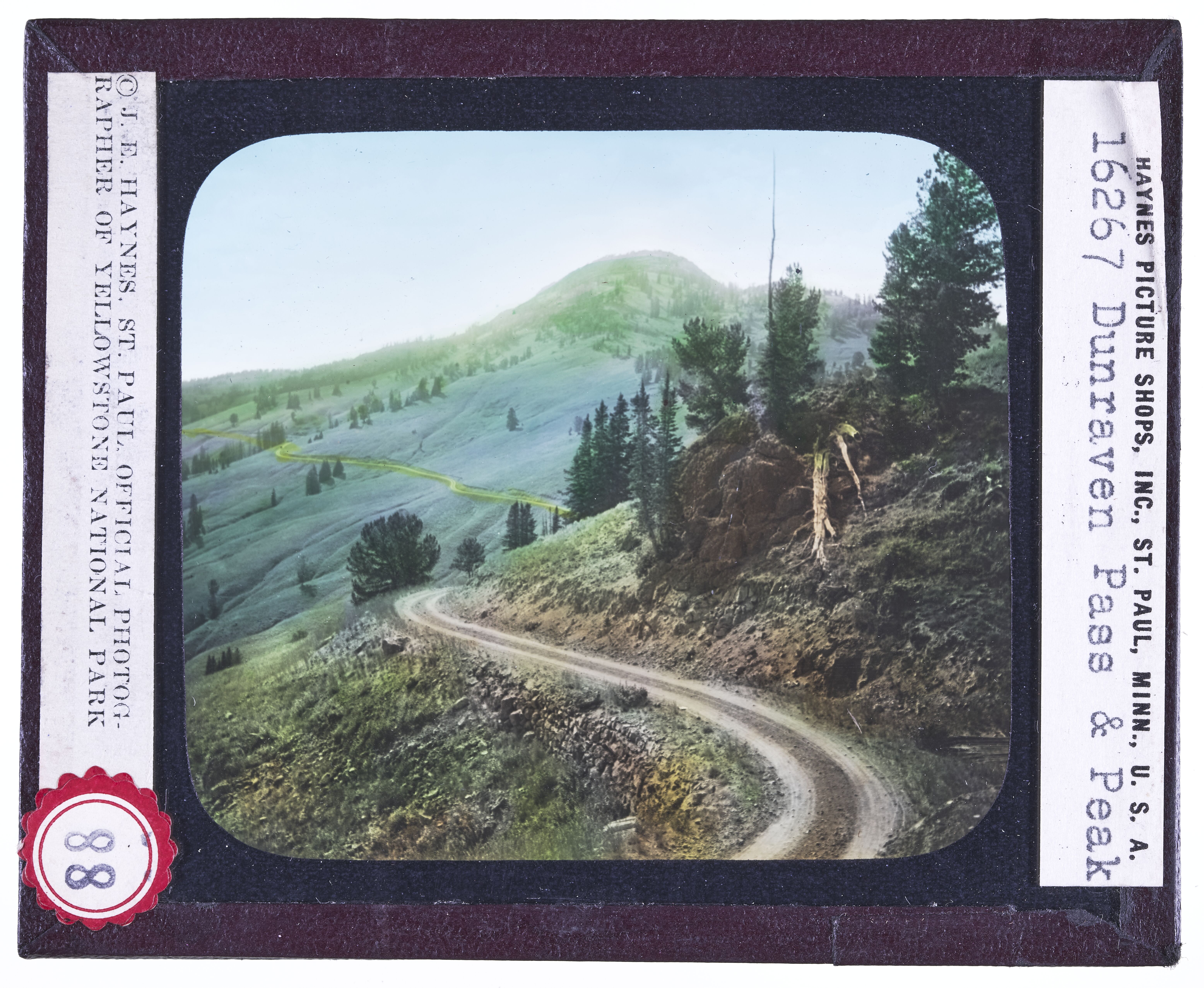 Dunraven Pass -- 8,800 Ft