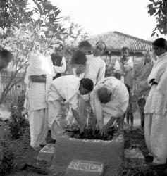 Gandhi and residents planting holy basil (tulsi)