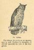 Chapitre 27, page 97, Le Hibou