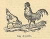 Chapitre 25, page 90, Coq et poule