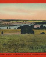 Citation block thumbnail