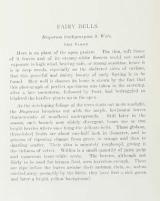 Citation block thumbnail