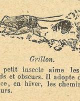 Citation block thumbnail