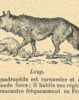 Citation block thumbnail