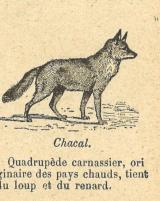 Citation block thumbnail