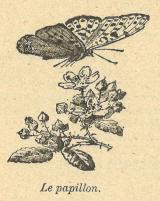 Citation block thumbnail