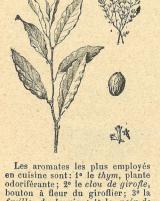 Citation block thumbnail