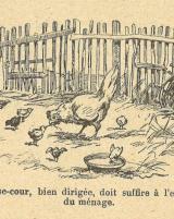 Citation block thumbnail