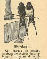 Citation block thumbnail
