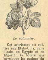 Citation block thumbnail