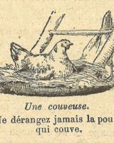 Citation block thumbnail