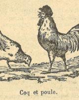 Citation block thumbnail