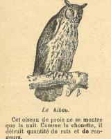 Citation block thumbnail