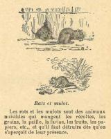 Citation block thumbnail