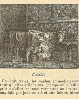 Citation block thumbnail