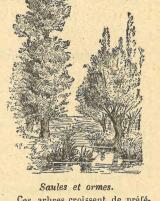 Citation block thumbnail