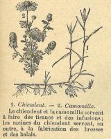 Citation block thumbnail