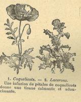 Citation block thumbnail