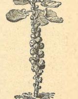 Citation block thumbnail