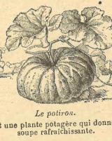 Citation block thumbnail