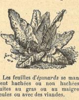 Citation block thumbnail
