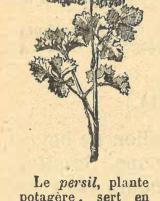 Citation block thumbnail