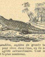 Citation block thumbnail