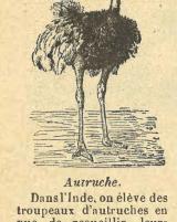 Citation block thumbnail