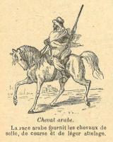 Citation block thumbnail