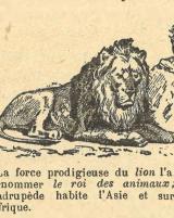 Citation block thumbnail