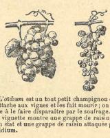 Citation block thumbnail