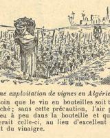 Citation block thumbnail